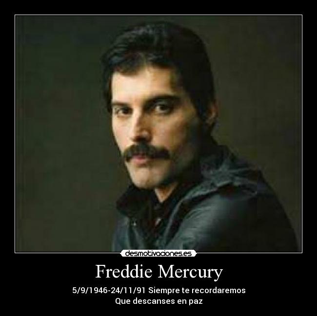 Freddie Mercury -