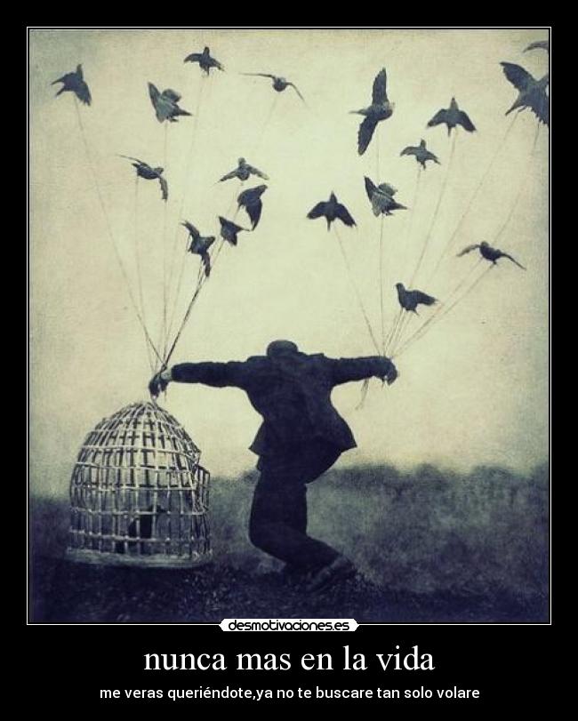 nunca mas en la vida - me veras queriéndote,ya no te buscare tan solo volare