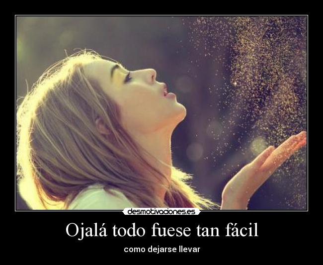 Ojalá todo fuese tan fácil - 