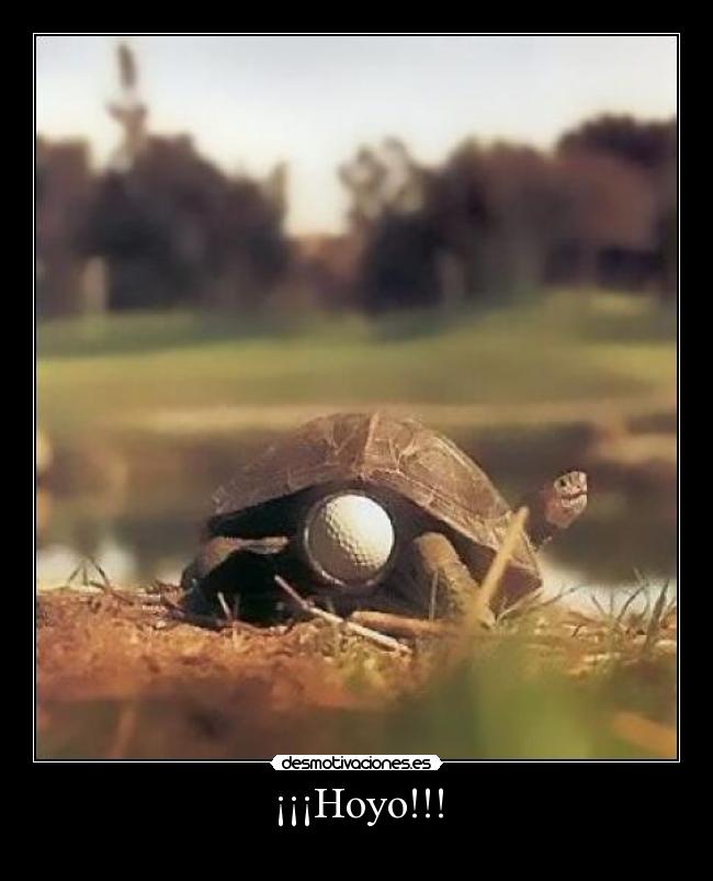 ¡¡¡Hoyo!!! -