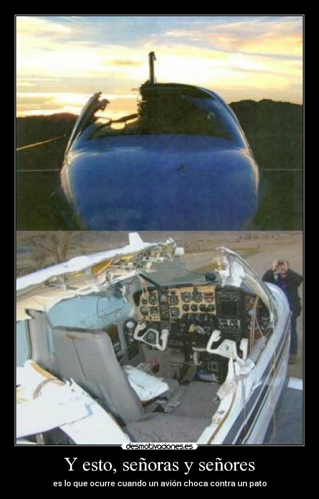Y esto, señoras y señores - es lo que ocurre cuando un avión choca contra un pato