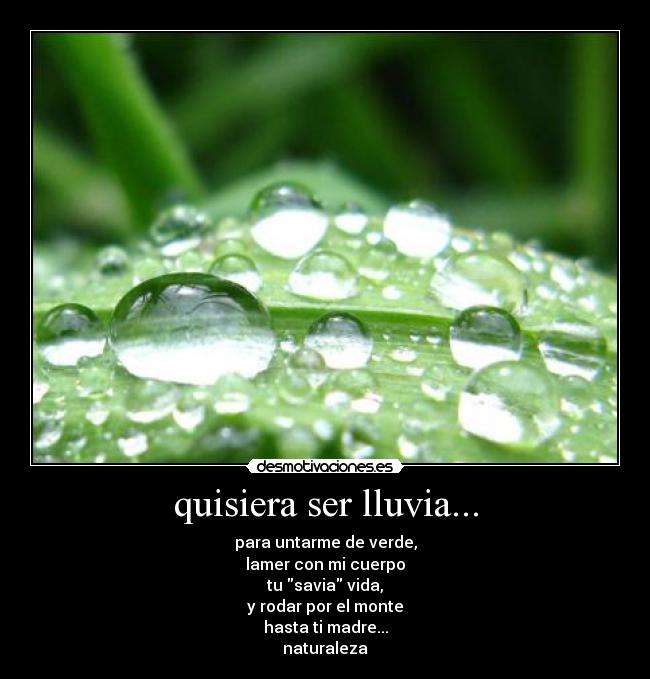 quisiera ser lluvia... - para untarme de verde,
lamer con mi cuerpo
tu savia vida,
y rodar por el monte
hasta ti madre...
naturaleza