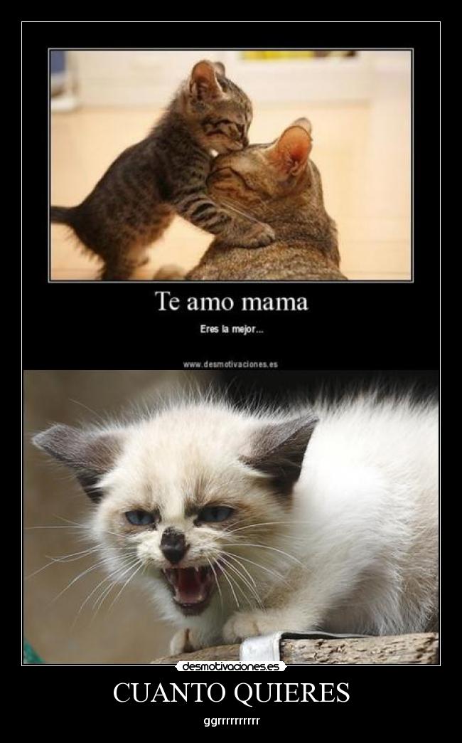 CUANTO QUIERES - 