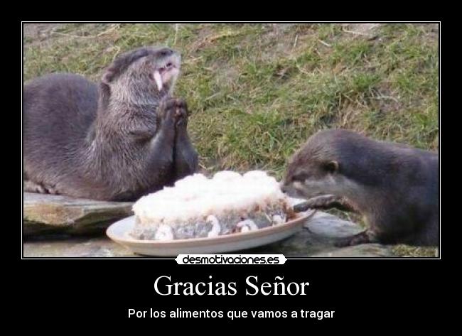 Gracias Señor - Por los alimentos que vamos a tragar