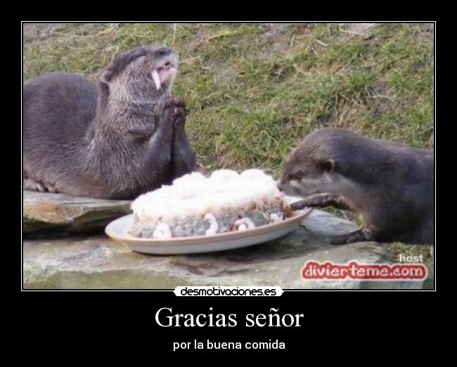 Gracias señor - 