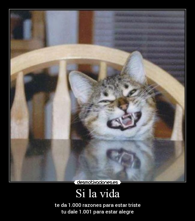 carteles vida patxoques desmotivaciones