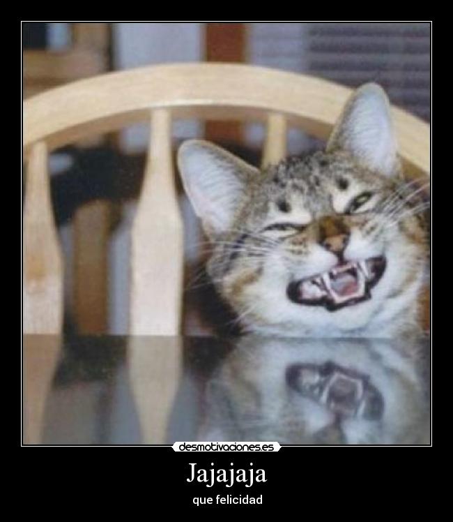 Jajajaja - que felicidad