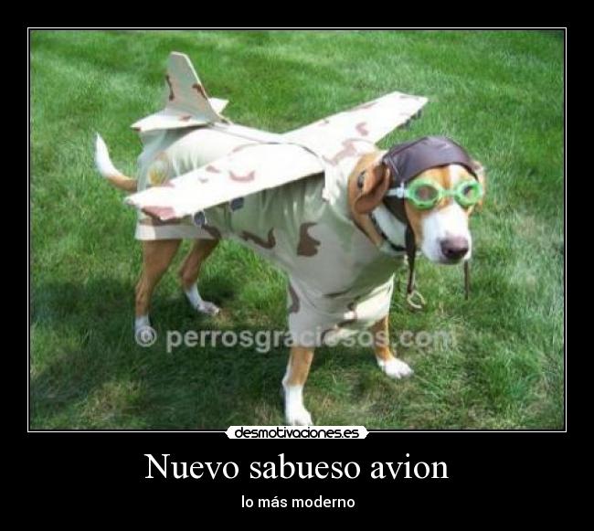 Nuevo sabueso avion - lo más moderno
