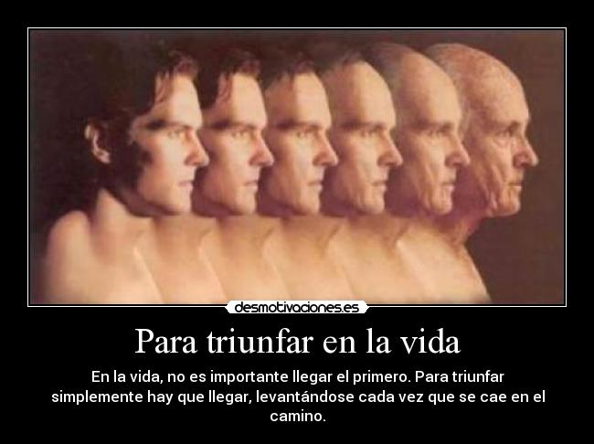 carteles vida para triunfar vida desmotivaciones