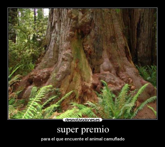super premio - para el que encuente el animal camuflado