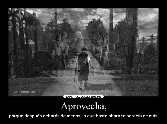 Aprovecha, - porque después echarás de menos, lo que hasta ahora te parecia de más.