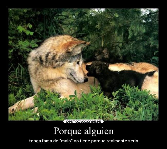 Porque alguien - tenga fama de malo no tiene porque realmente serlo