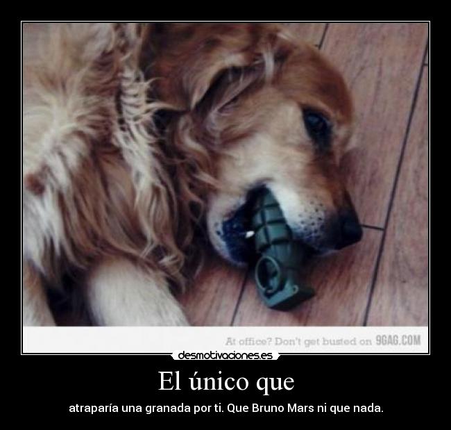 carteles bernardo ramos alvarez desmotivaciones