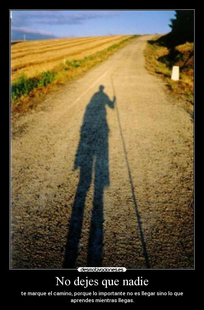 No dejes que nadie - te marque el camino, porque lo importante no es llegar sino lo que
aprendes mientras llegas.