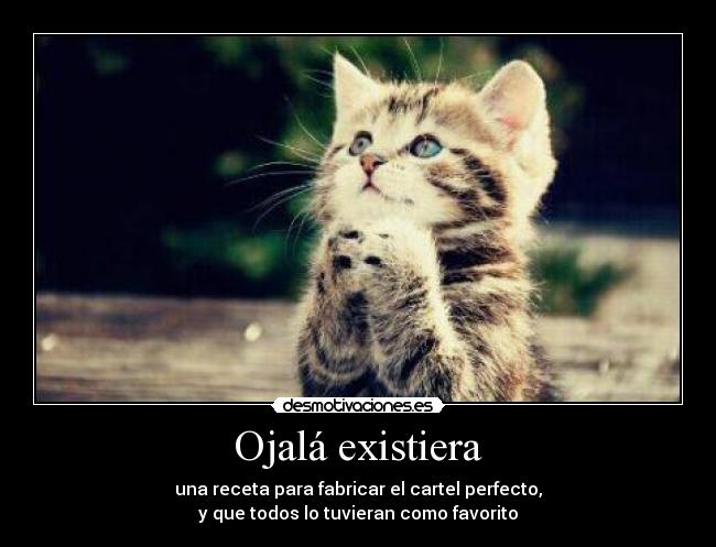 Ojalá existiera - 