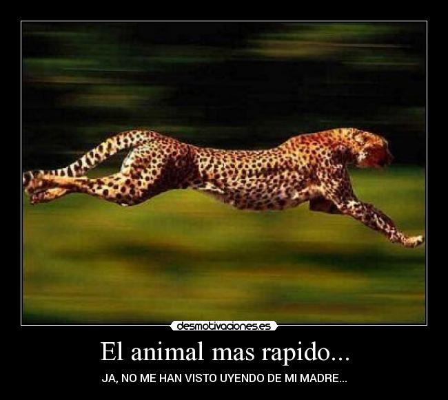 El animal mas rapido... -