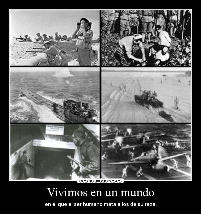 Vivimos en un mundo - en el que el ser humano mata a los de su raza.