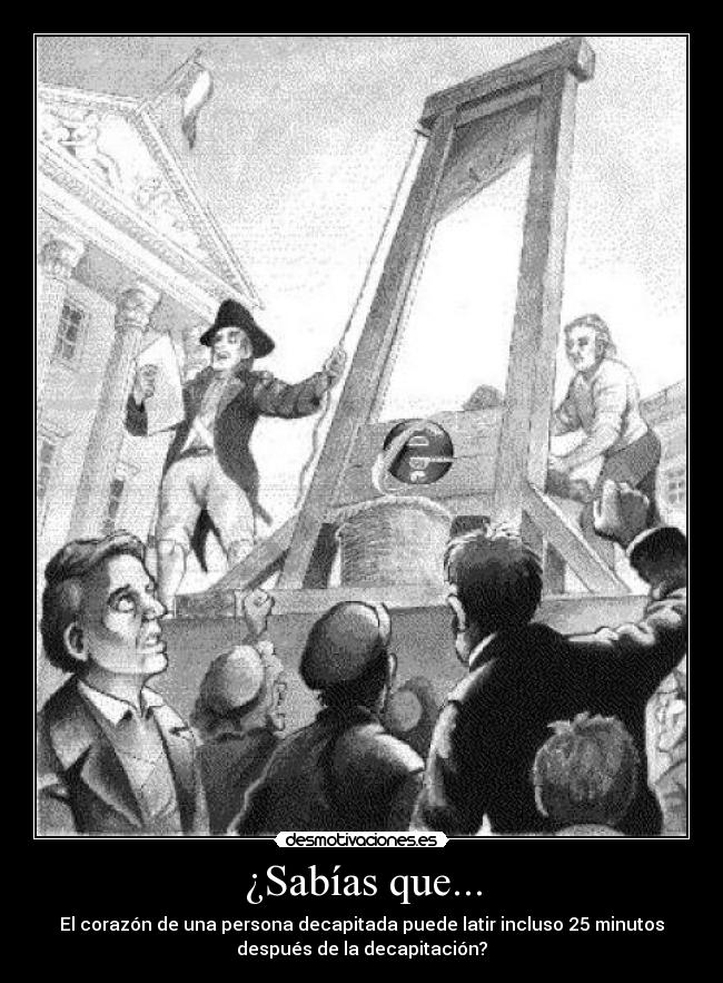 ¿Sabías que... - El corazón de una persona decapitada puede latir incluso 25 minutos
después de la decapitación?