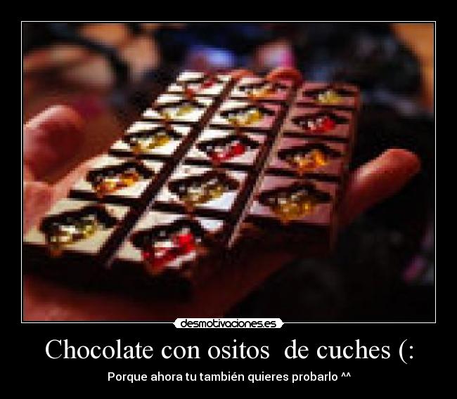 Chocolate con ositos de cuches (: - Porque ahora tu también quieres probarlo ^^