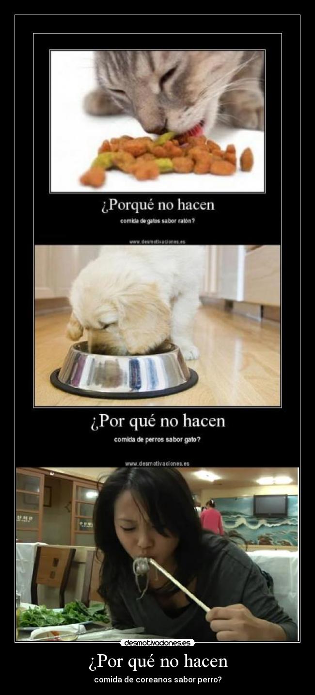 ¿Por qué no hacen - comida de coreanos sabor perro?