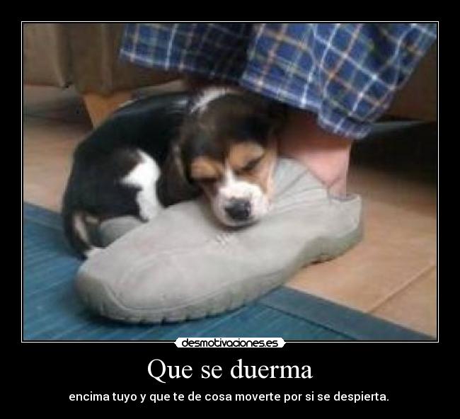 Que se duerma - encima tuyo y que te de cosa moverte por si se despierta. 