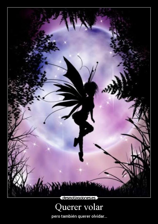 Querer volar - pero también querer olvidar...