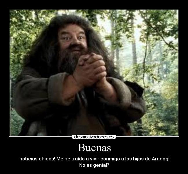 carteles rubeus hagrid desmotivaciones