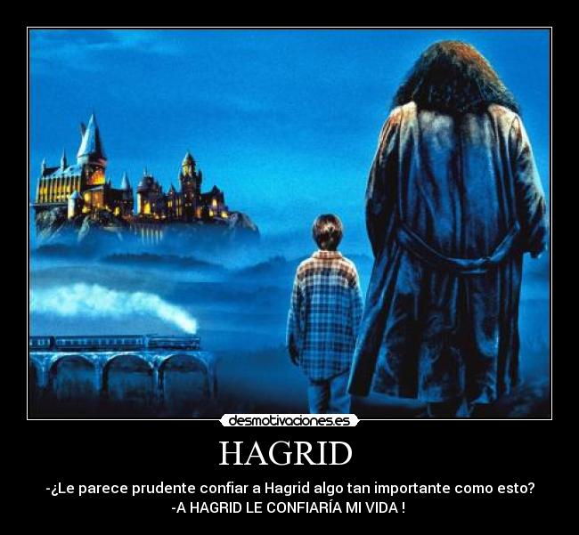 HAGRID  - 