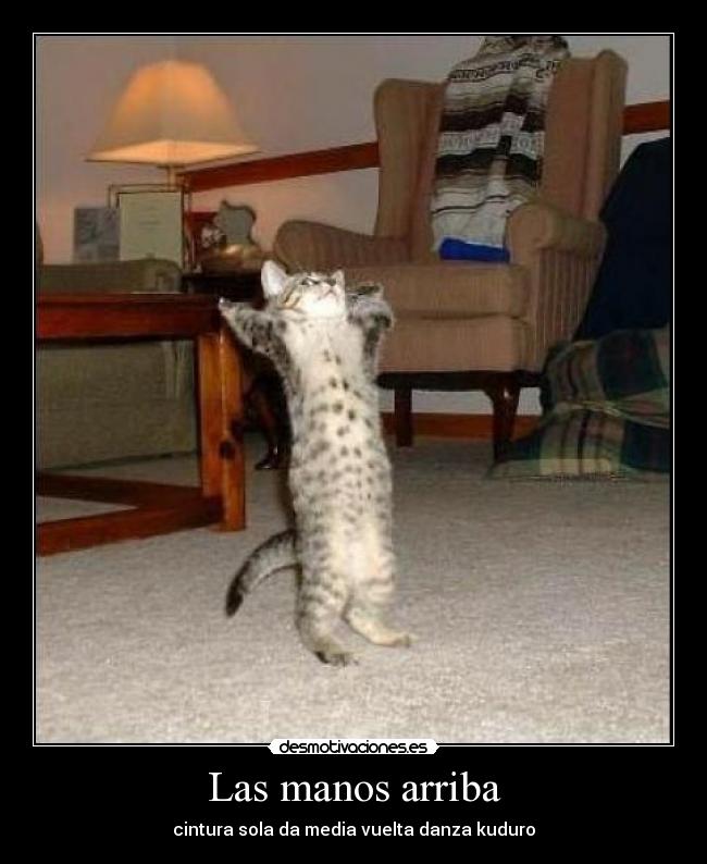 Las manos arriba -