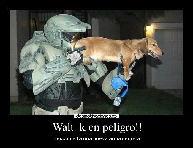 Walt_k en peligro!! -
