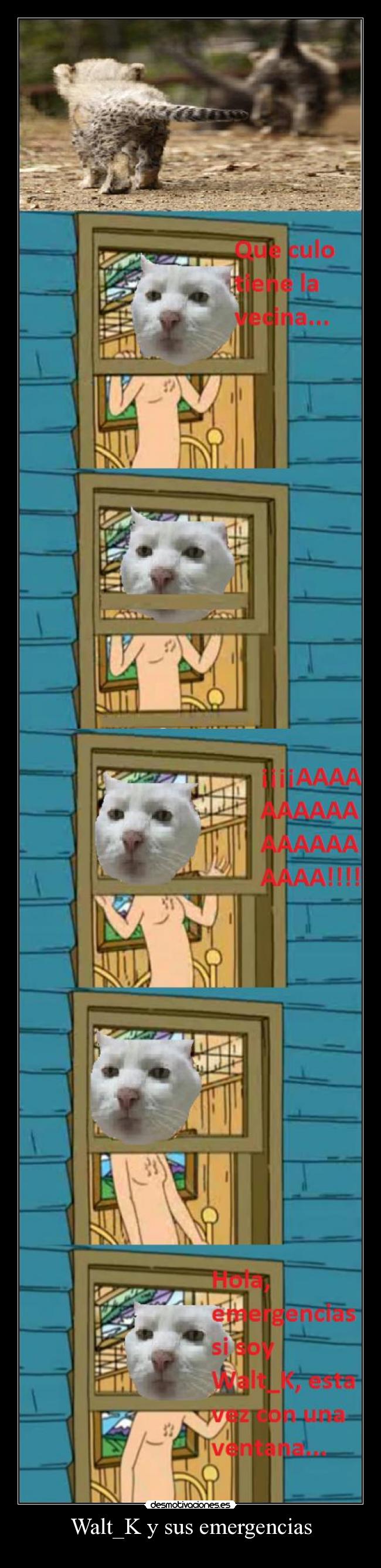 Walt_K y sus emergencias - 