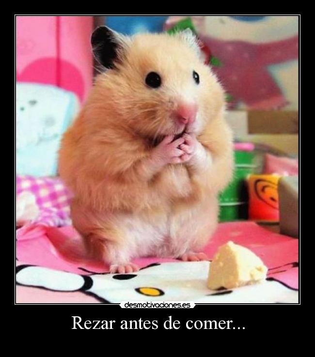 Rezar antes de comer... -