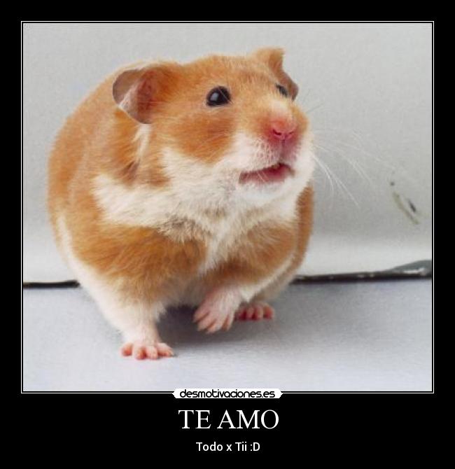 TE AMO - Todo x Tii :D
