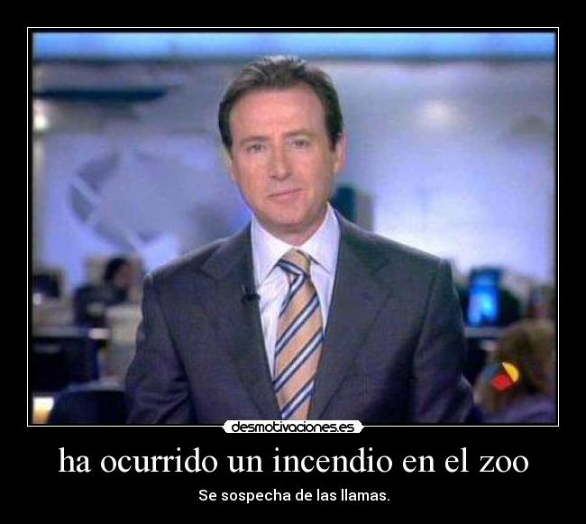 ha ocurrido un incendio en el zoo -