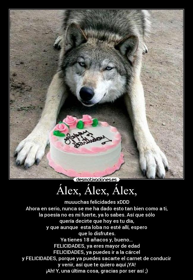 Álex, Álex, Álex, - muuuchas felicidades xDDD
Ahora en serio, nunca se me ha dado esto tan bien como a ti,
la poesía no es mi fuerte, ya lo sabes. Así que sólo
quería decirte que hoy es tu día,
y que aunque esta loba no esté allí, espero
que lo disfrutes.
Ya tienes 18 añacos y, bueno...
FELICIDADES, ya eres mayor de edad
FELICIDADES, ya puedes ir a la cárcel
y FELICIDADES, porque ya puedes sacarte el carnet de conducir
y venir, así que te quiero aquí ¡YA!
¡Ah! Y, una última cosa, gracias por ser así ;)