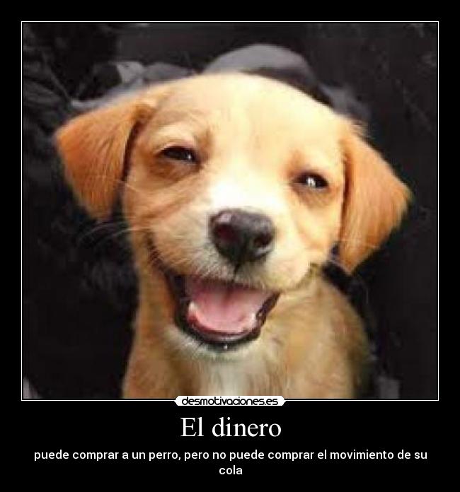 El dinero -