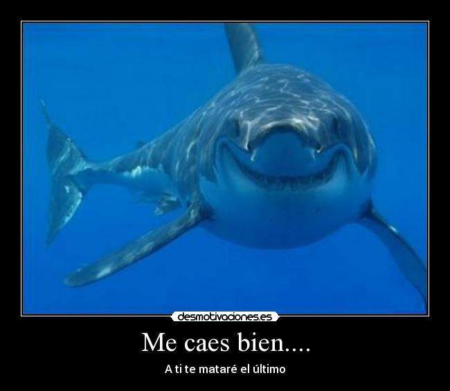Me caes bien.... -