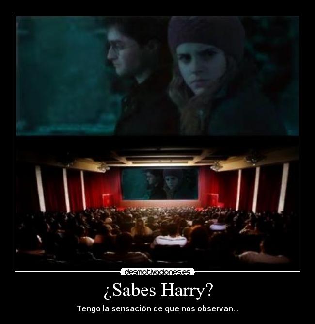 ¿Sabes Harry? - Tengo la sensación de que nos observan...