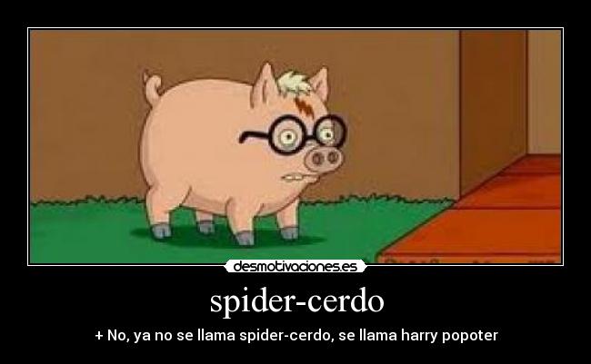 spider-cerdo - 