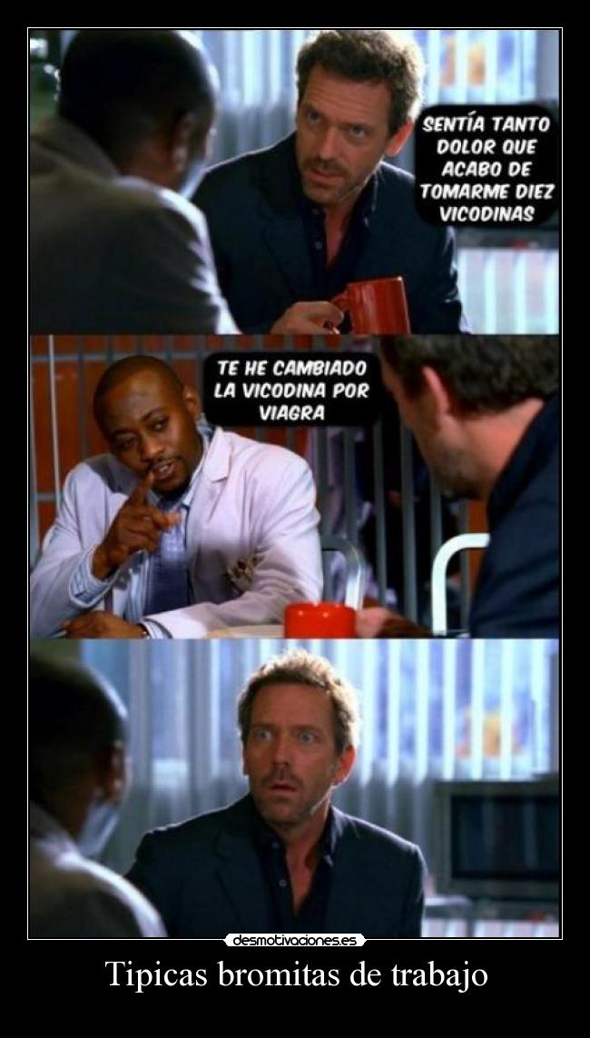 carteles trabajo house estar todo dia empalmado desmotivaciones