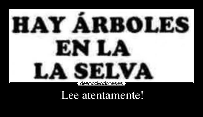 Lee atentamente! - 