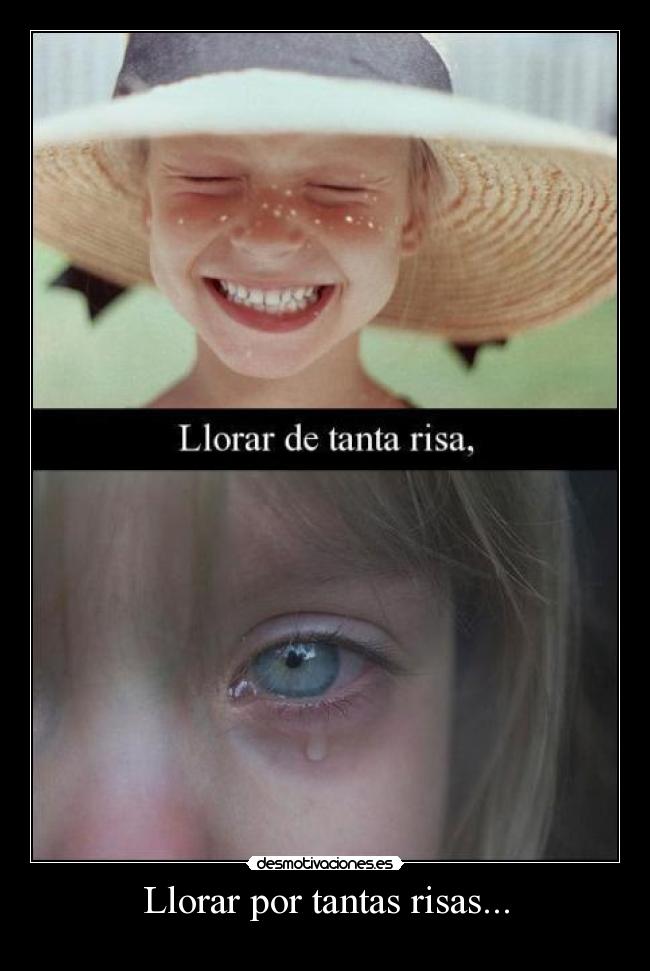 carteles llorar bulma272 siento este cartel elclanviral desmotivaciones