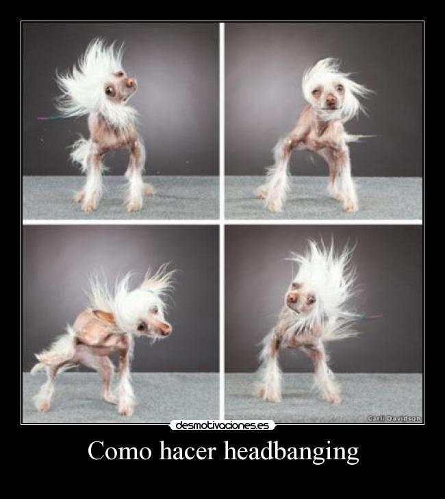 Como hacer headbanging -
