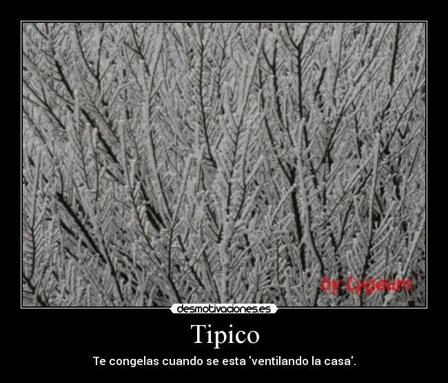 Tipico -