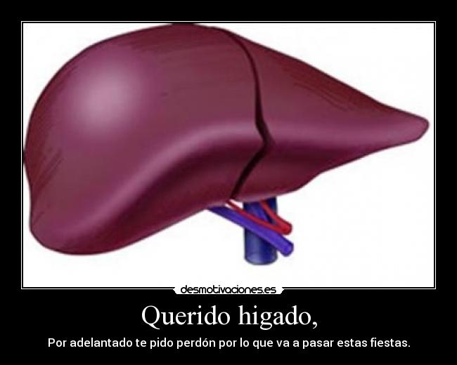 Querido higado, - Por adelantado te pido perdón por lo que va a pasar estas fiestas.