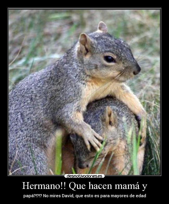 Hermano!! Que hacen mamá y - papá?!?!? No mires David, que esto es para mayores de edad