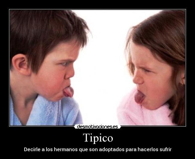 Tipico - 