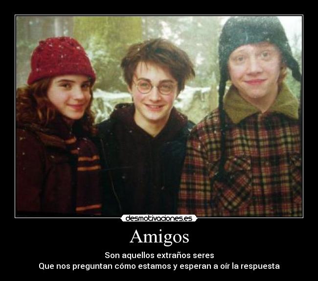 carteles amigos los verdaderos amigos harry potter arimasu desmotivaciones