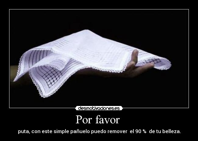 Por favor - puta, con este simple pañuelo puedo remover el 90 % de tu belleza.
