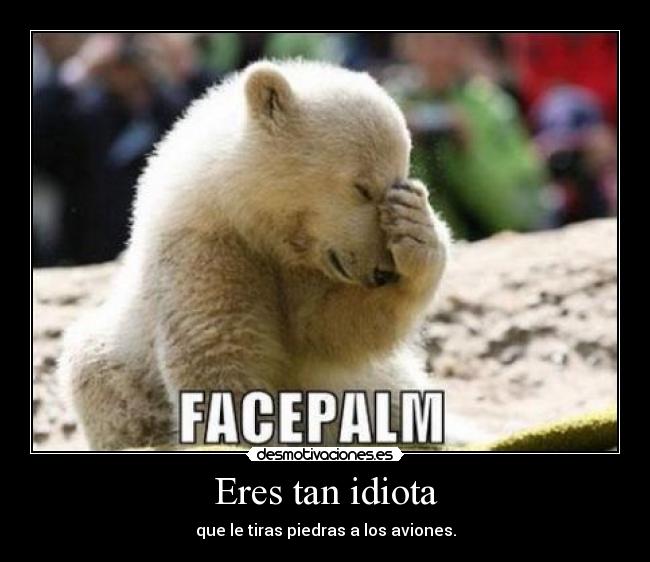 Eres tan idiota - que le tiras piedras a los aviones.